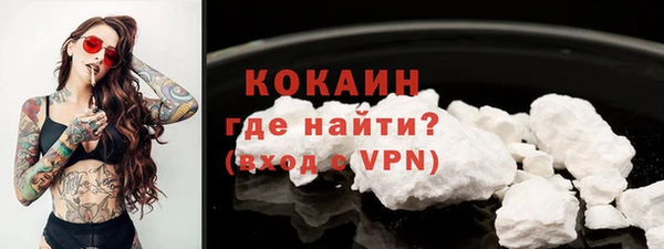сатива Надым