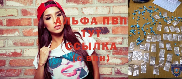 сатива Надым