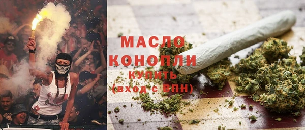 сатива Надым