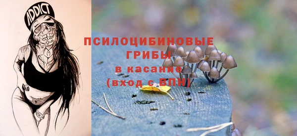 сатива Надым