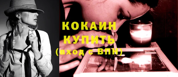 сатива Надым