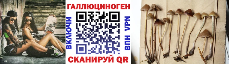 Псилоцибиновые грибы мухоморы  Талдом 